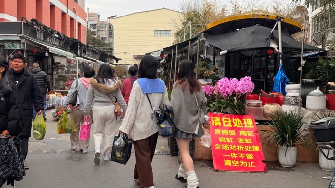 岚灵花鸟市场即将关闭，市人大代表：这类市井业态应有一席之地