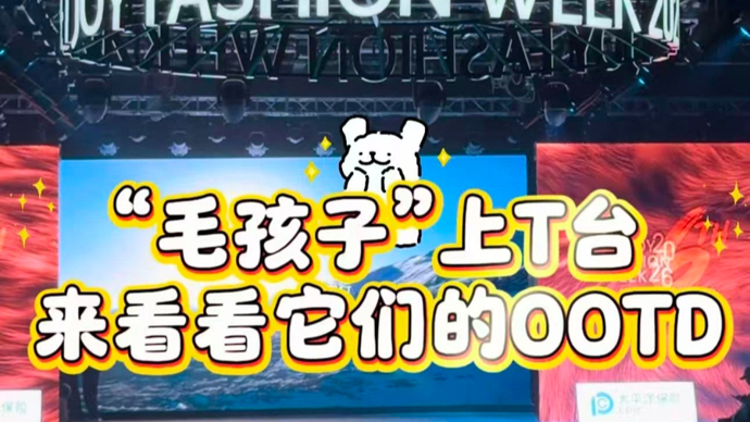 “毛孩子”走上T台，来看它们的OOTD