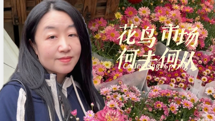 视频｜岚灵花鸟市场要关了，这两天现场人气如何