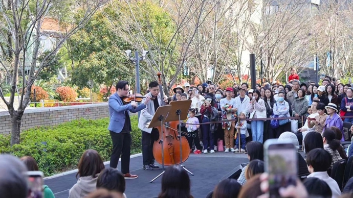 春风十里不如你，“樱花树下音乐会” 遇见上海街边最浪漫的风景