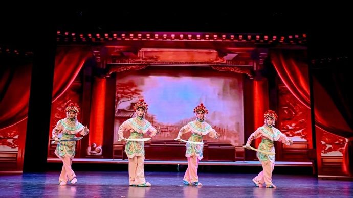 城市美育日，杨浦区“大师导赏”带你从看表演到懂艺术