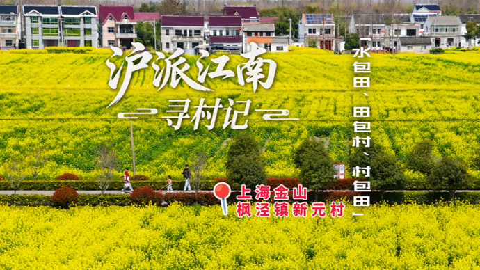 沪派江南寻村记丨金山枫泾新元村：千年圩田，农耕文明活态传承
