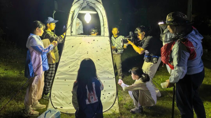 重大突破！SCI权威期刊发表！上海13岁“小孩哥”发现蛾类新物种
