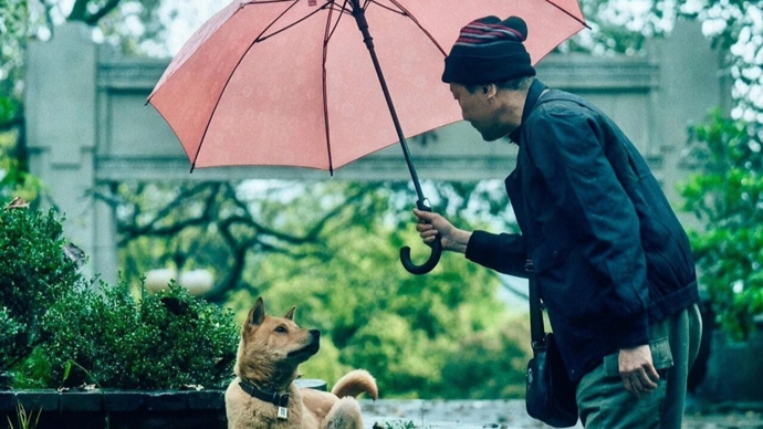 如果把老人的生活看成一幅拼图，宠物是其中很重要的一片