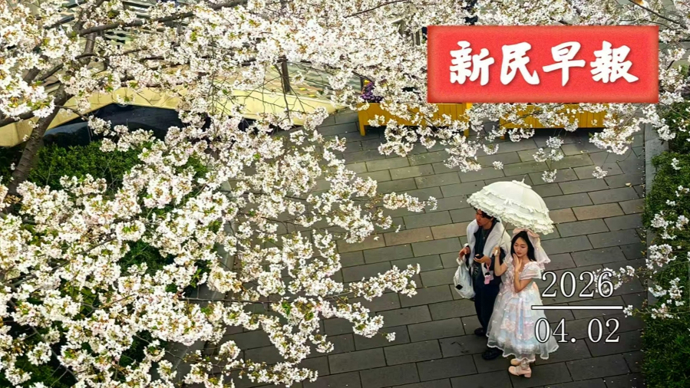 今天23℃；上海科技馆沉浸式雨林奇观开放|新民早报[2026.4.2]