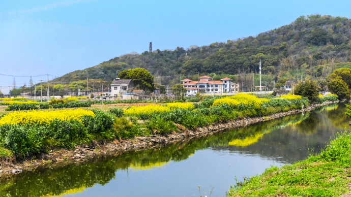 沪派江南寻村记 | 松江佘山刘家山村：峰连泖环带长林，画中江南有野趣