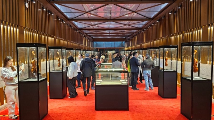 传承、美育、共享，提琴弦音激发申城文商旅展融合新活力