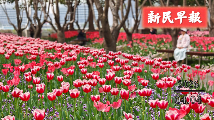 今日直冲22℃；教育部：严禁“掐尖招生”| 新民早报[2026.4.4]