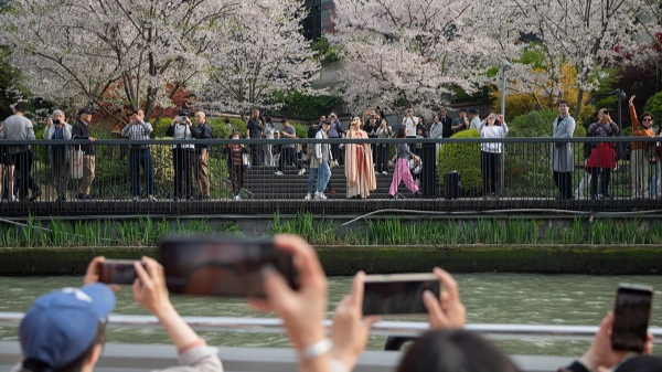 清明假日上海迎客近740万人次，踏青、看展、逛街区点燃春日文旅热