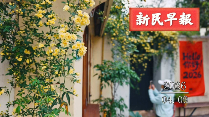 今天30℃；131条道路将下“毛毛雨” | 新民早报[2026.4.9]
