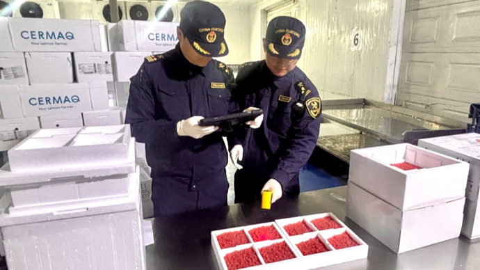 高效通关，为餐桌“孵”出优质三文鱼