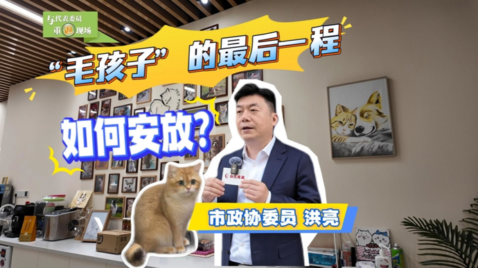 “毛孩子”的最后一程，如何安放？｜与代表委员重返现场