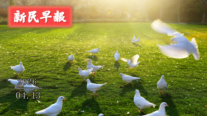 本周先雨后晴；沪上这场嘉年华要火到8月 新民早报[2026.4.13]