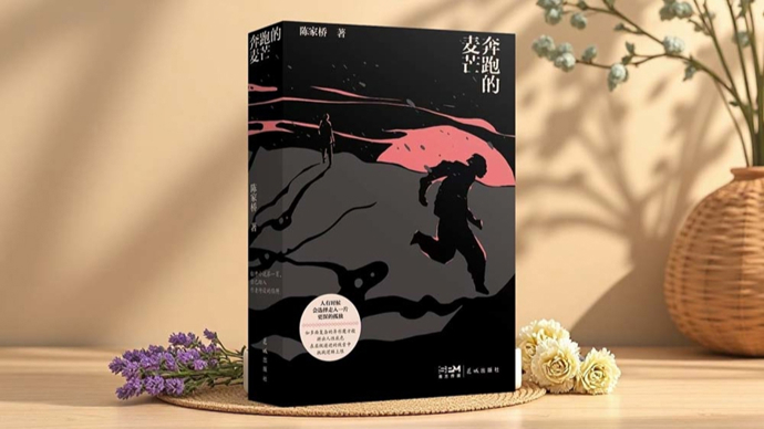王宏图：悬疑透镜下的实景面相——陈家桥新作《奔跑的麦芒》读后