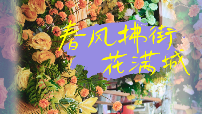 春风拂街 花满城