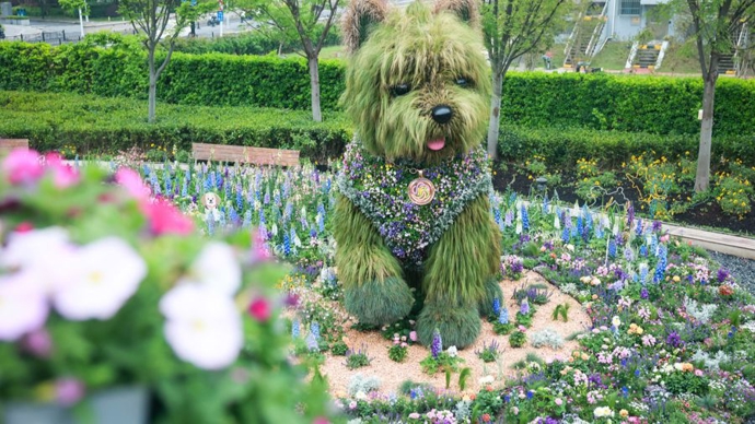 “潦草小狗”出圈，静安国际花卉展开放，更多亮点与市民游客见面