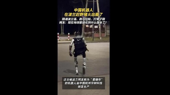 中国人形机器人“驱赶野猪”在波兰走红，网友：地球进化到什么版本了？
