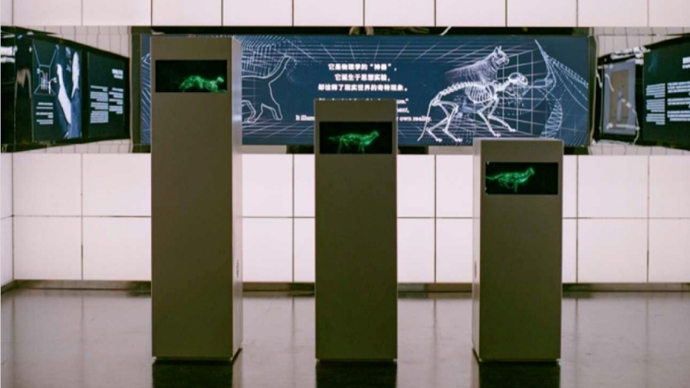 如何让公众理解“薛定谔的猫”？上海科技馆“展品诞生记”临展开幕