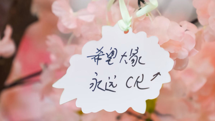 淋巴瘤患者镜头下的生命诗行，这场影像展藏着向阳而生的力量