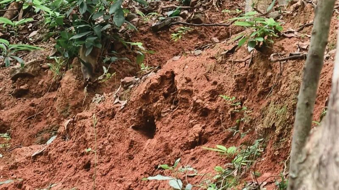 广州暹岗大山“淘晶热”致植被受损，记者现场走访