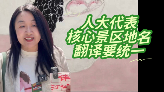 视频｜“豫园”一地两英文名让外国游客困惑，代表建议核心景区统一译名