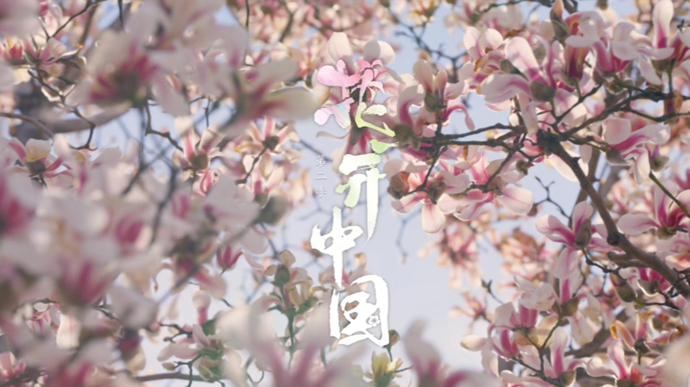 梅花、兰花、荷花、桂花……有8种花将依次盛放荧屏