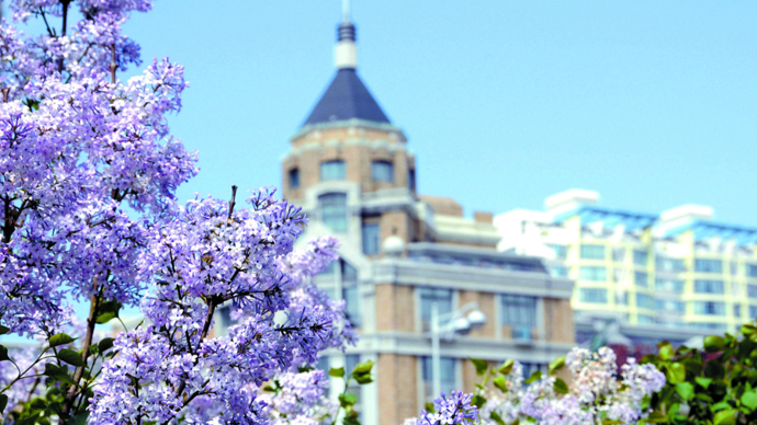 你知道中国各城市的市花是哪些吗？以市花读懂这座城