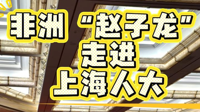 非洲“赵子龙”走进上海人大