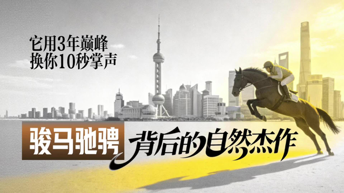 看环球马术赛，如何让自己看上去像个内行？