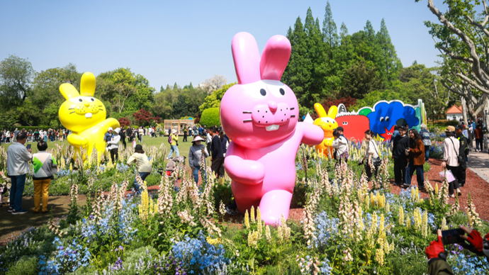 花卉节遇见长假，花海正悄悄改变你的消费习惯