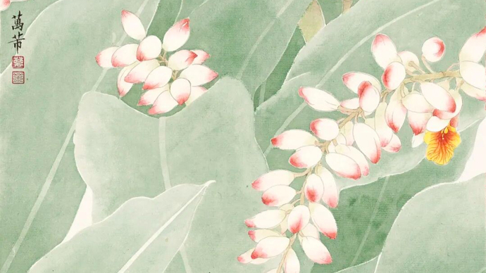清和 | 万芾笔下的草木灵韵