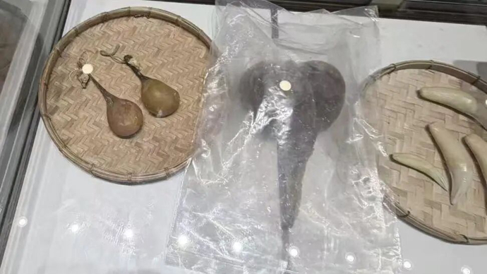 男子购买百万保险，被邀请“免费老挝游”，花数十万元买回的犀牛角、熊胆，越看越心虚