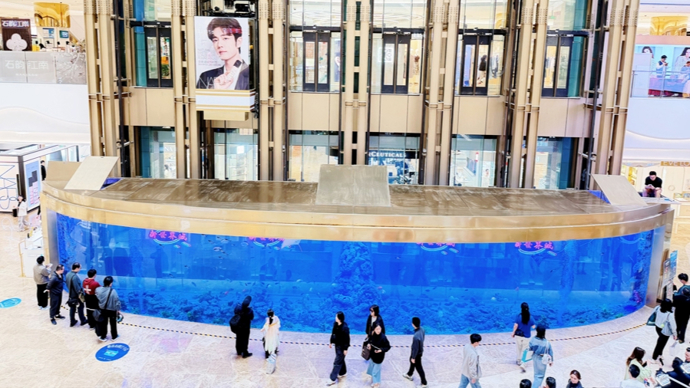真鱼游得美，假鱼玩得花！上海商场水族馆上演“无间道”！小朋友抢着互动