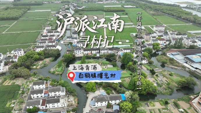 沪派江南寻村记｜青浦白鹤镇曙光村：纤网百汇凝古韵，鹤舞淞源起新辉