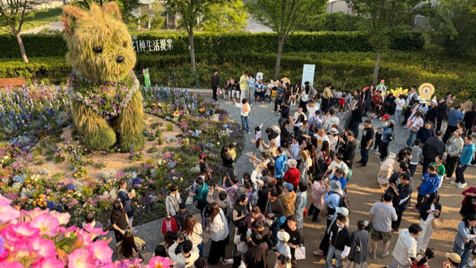 网红“西高地”不退休！延展至少3个月，将“换毛”度夏