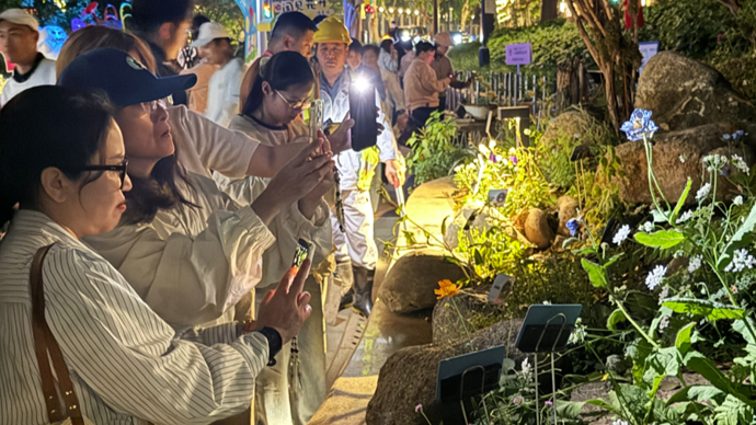 “高山精灵”绿绒蒿昨天深夜踏上返回旅程！市民游客都来送别了