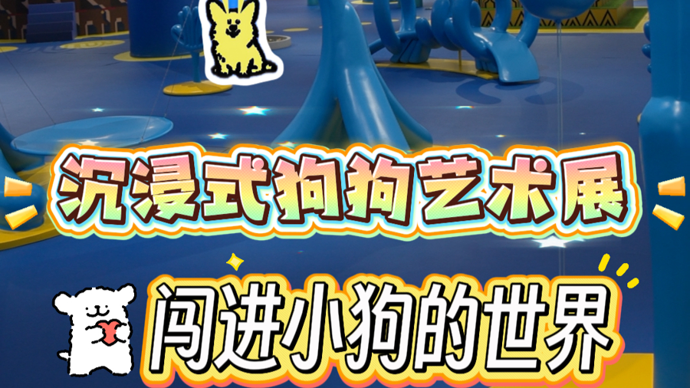 魔都生活指北 | 闯进小狗的世界！带你沉浸式观赏中国首个狗狗专属展览
