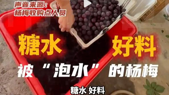主要销往上海等地！福建杨梅收购点违规添加防腐剂甜味剂，医生警告或损伤神经
