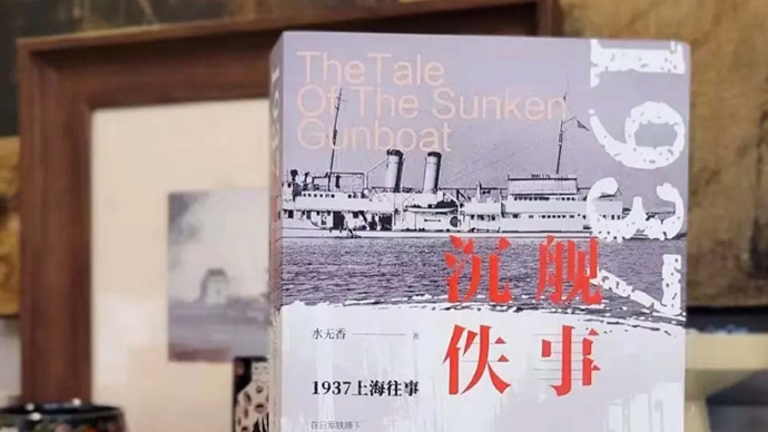 王宏图：此情可待成追忆——杨植峰《沉舰佚事》读后