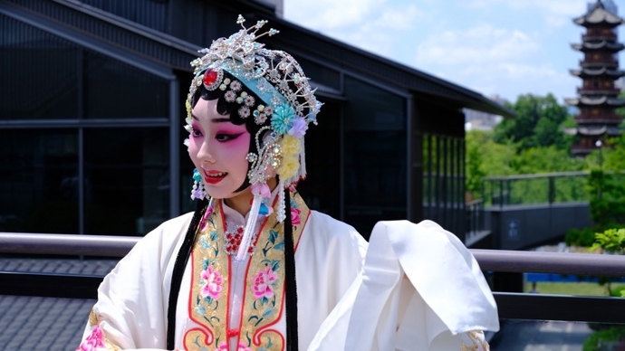 塔影千年，“梅”香如故，梅花奖国际化展演快闪在龙华先声夺人
