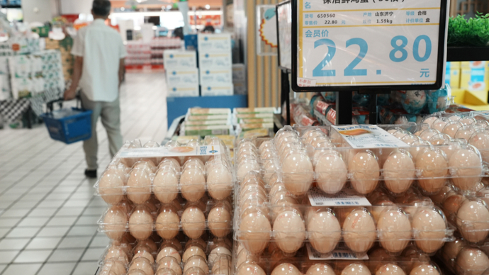 鸡蛋价格冲高回落，是短暂回调还是趋势反转？专家解读