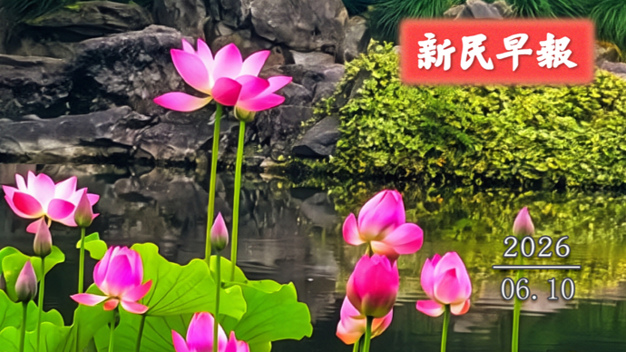 重回30℃+；上海高考等级考今天出分 | 新民早报[2026.6.10]