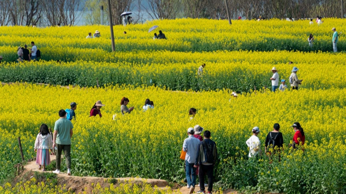 十日谈·你还能放下手机吗｜冯强：惹不起，躲得起
