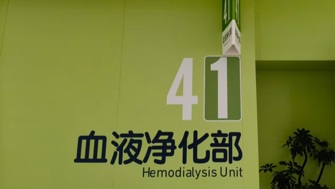 看肾病做透析不出“南上海”，还能用AI揪出罕见病｜新民·第医线