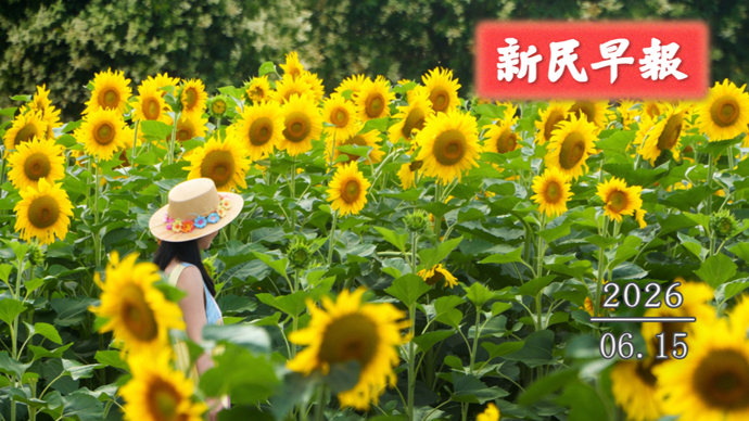出门备伞，本周天天有雨；李子柒官宣新身份|新民早报[2026.6.15]