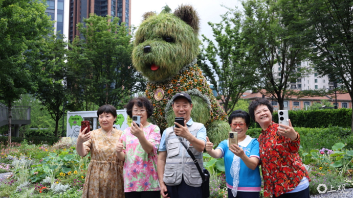 【城市笙歌】细雨润新装：“潦草小狗”夏装亮相