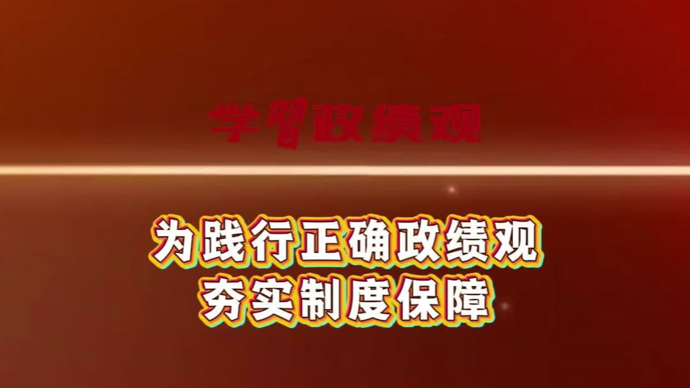 树立和践行正确政绩观，必须持续扎细扎密扎牢制度的笼子｜冯小敏