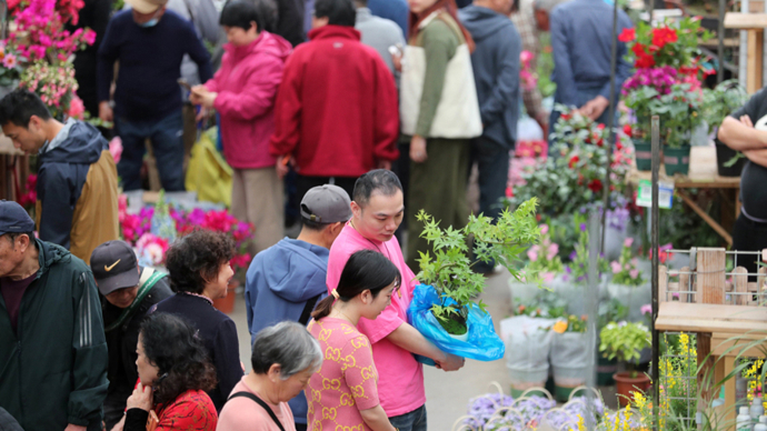 上观时评｜花鸟市场回归，提醒我们城市烟火气不仅是浪漫情怀，更是现实所需