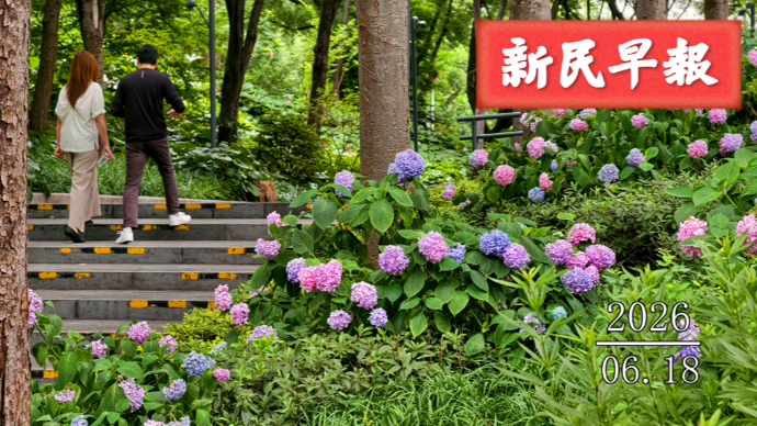 中国裁判马宁将主哨世界杯小组赛第二轮比赛|新民早报[2026.6.18]