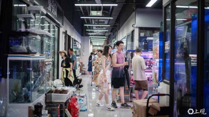 【城市笙歌】新的市场，一样的花鸟，价格没上调，干净还有空调